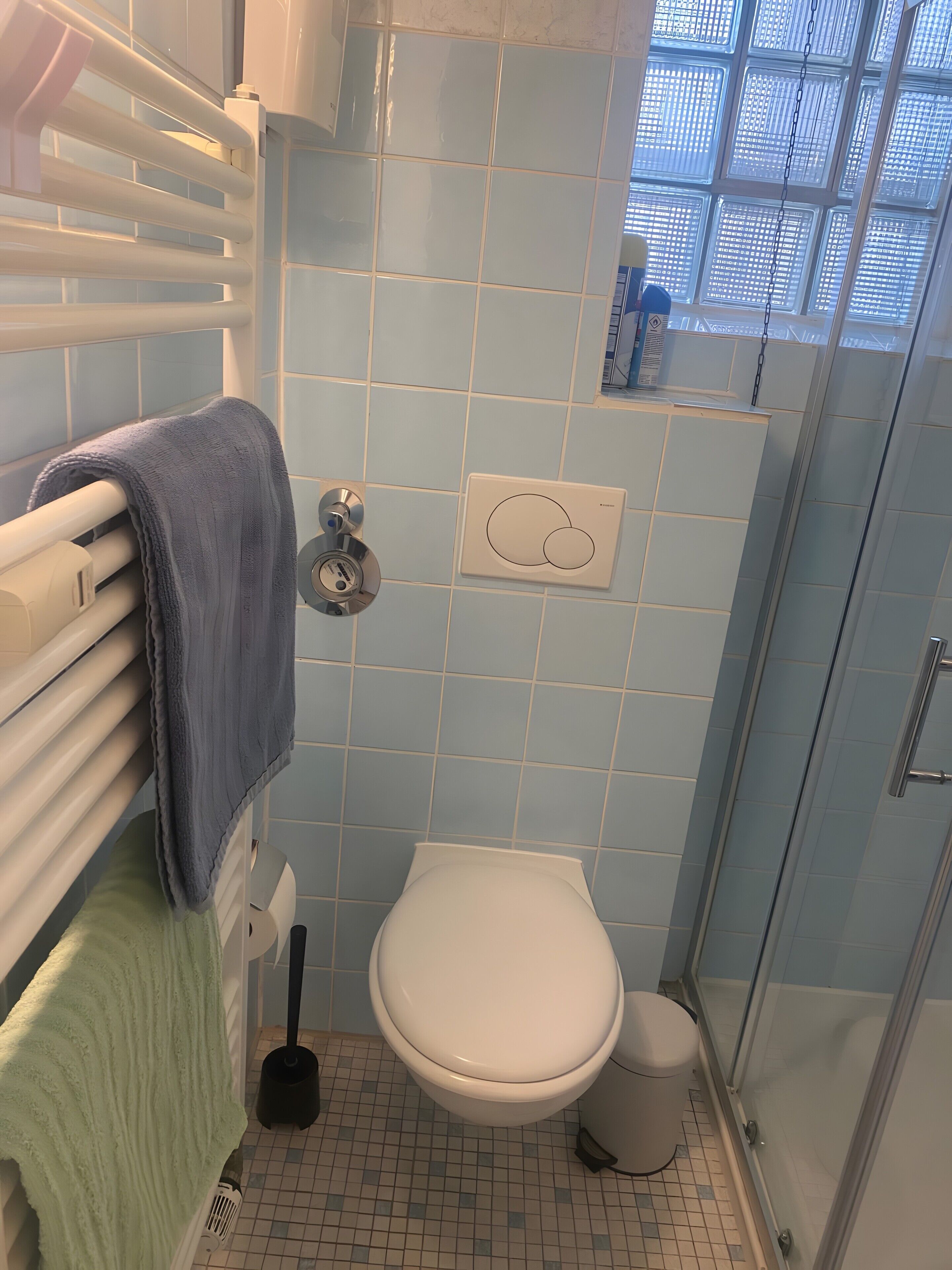 A bathroom with a toilet, a shower, a radiator, and a towel rack.