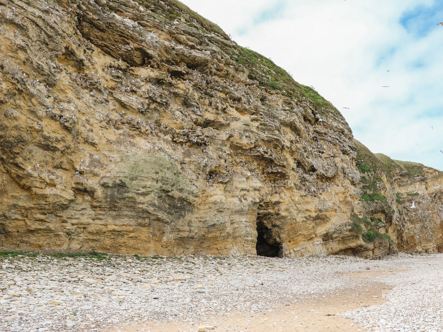 Un acantilado rocoso con la entrada de una cueva y una playa de guijarros.