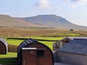 A rural setting with a large mountain in the background, a fenced sheep field, and a small wooden building labeled "Barnowl."