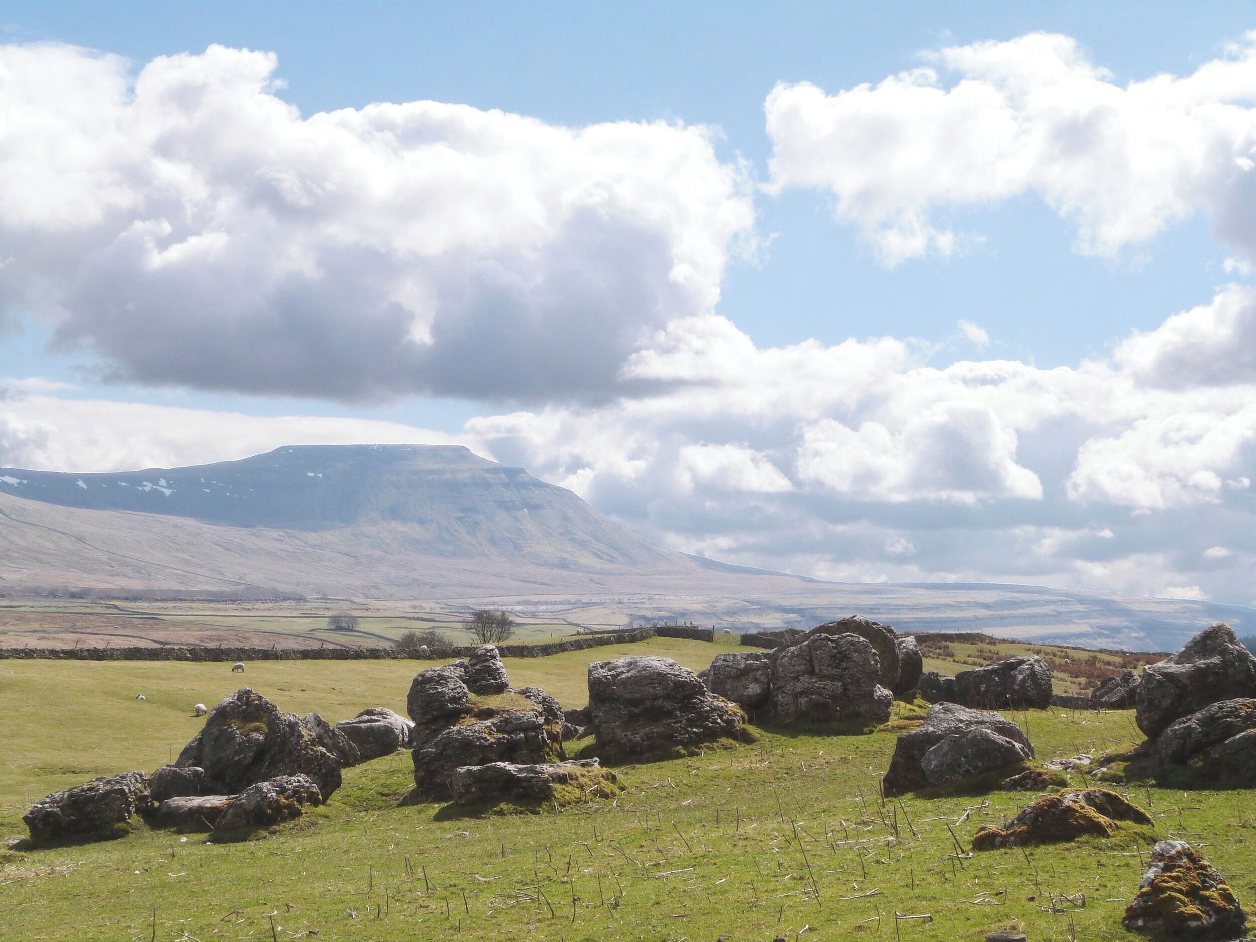 Un campo cubierto de hierba con rocas grandes y una montaña al fondo.