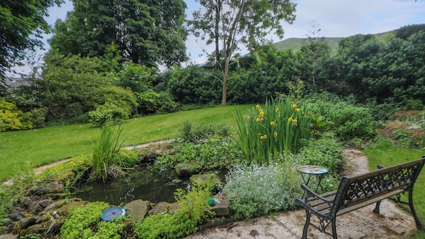 A garden with a pond, bench, and various plants.