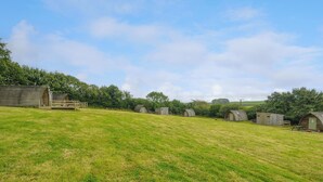 Unclassified image, 4 of 16, button - Hen House @ Penbugle Organic Farm (Liskeard)