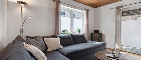 Fernseher
