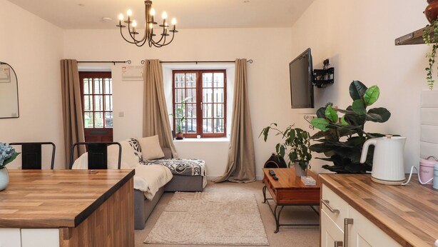 Een gezellige kamer met een bed, een bureau, een stoel, een grote plant en een kitchenette.