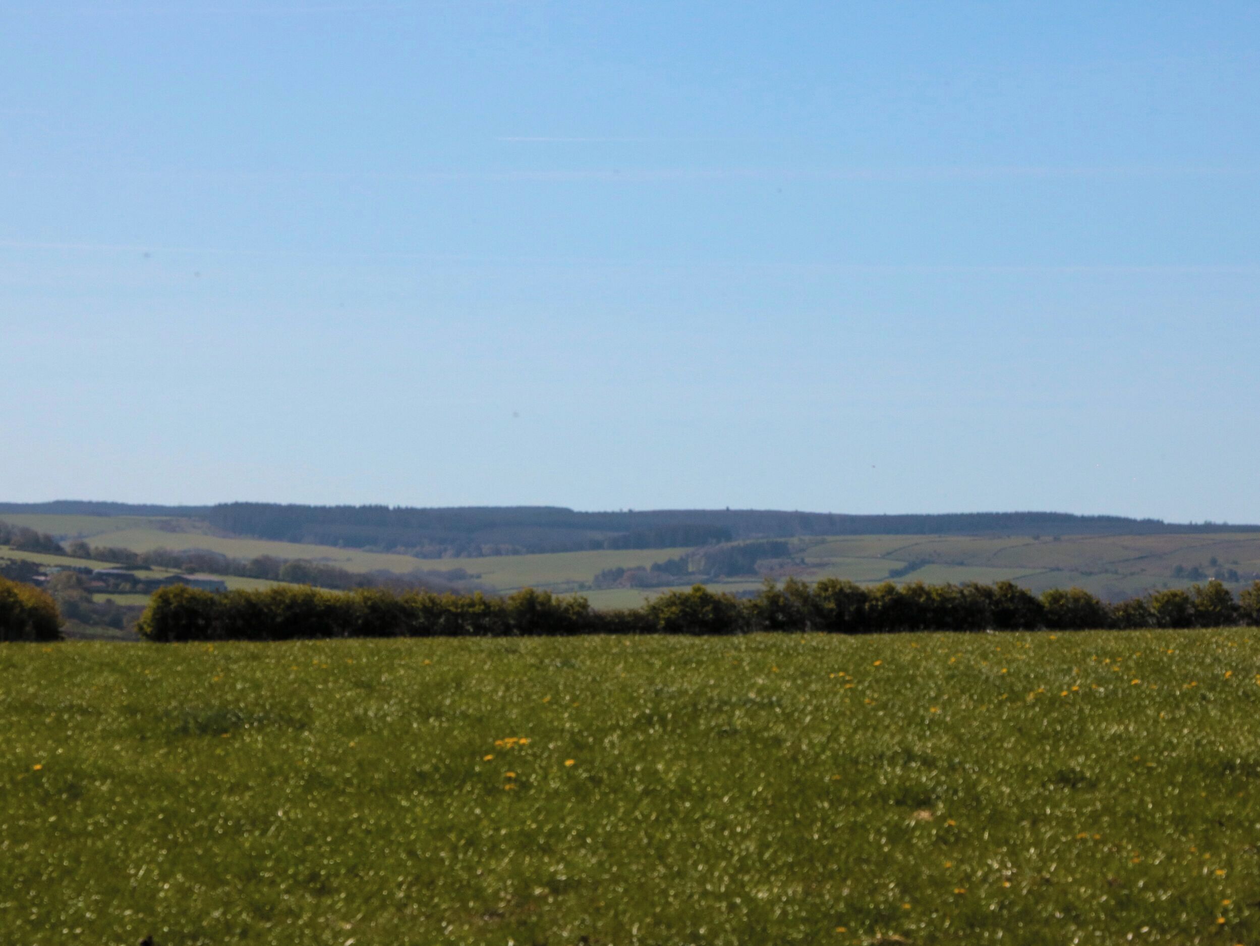 A wide-open field with a clear sky.