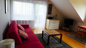 电视、DVD 播放器、立体声音响