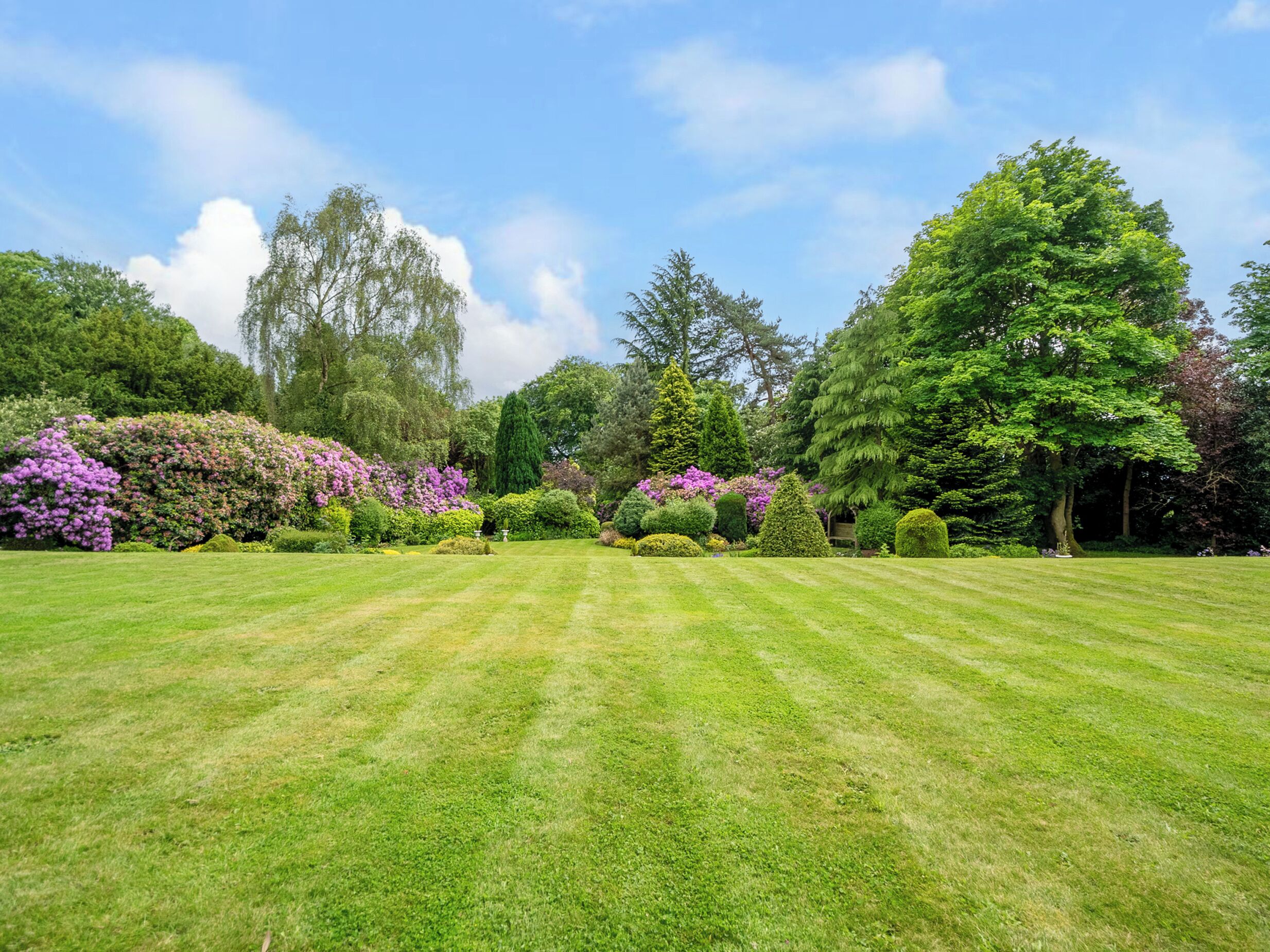 A well-maintained garden with a variety of trees and flowering shrubs.