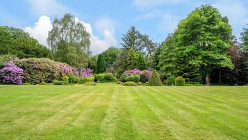 A well-maintained garden with a variety of trees and flowering shrubs.