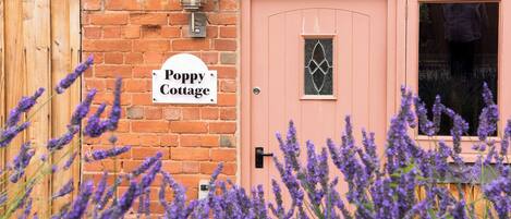 Detalle del exterior