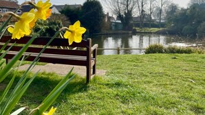 A bench with daffodils in the foreground and a river in the background.