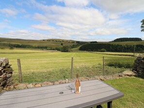 Property grounds - Middlefell View Cottage (Alston)
