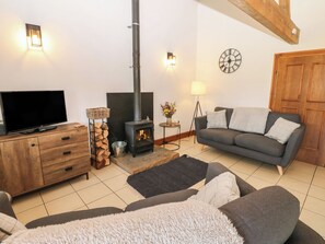 Chimenea, reproductor de DVD