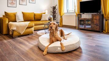 Een hond op een rond dierenbed in een woonkamer met een bank, een televisie en kunst aan de muur.