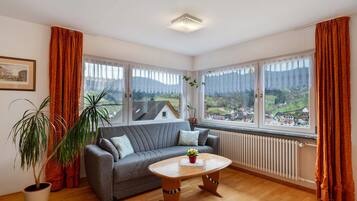 Fernseher