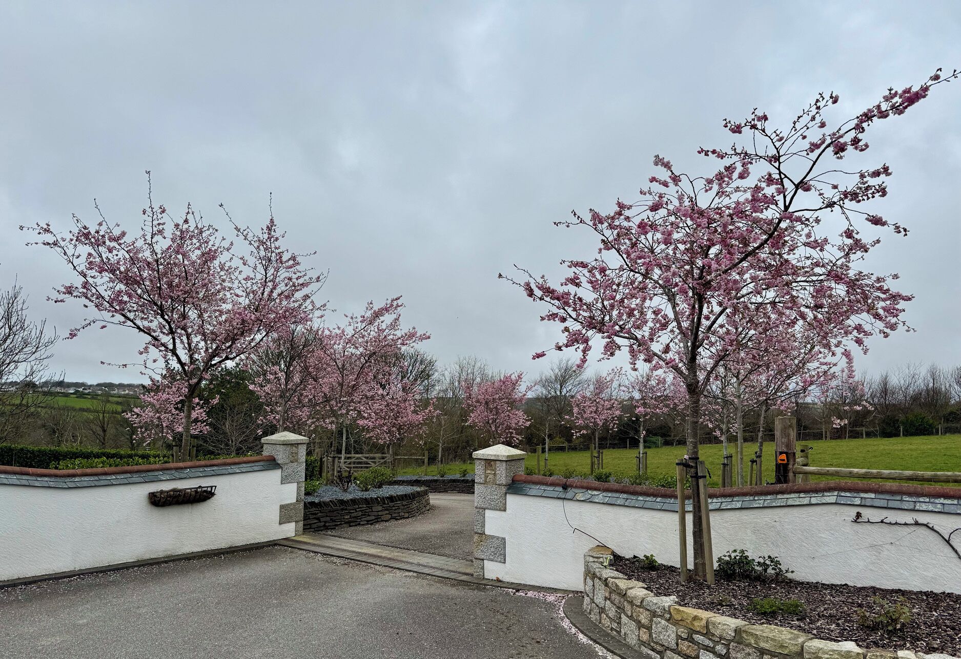 Casa de campo | Área da propriedade