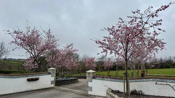 Casa de campo | Área da propriedade