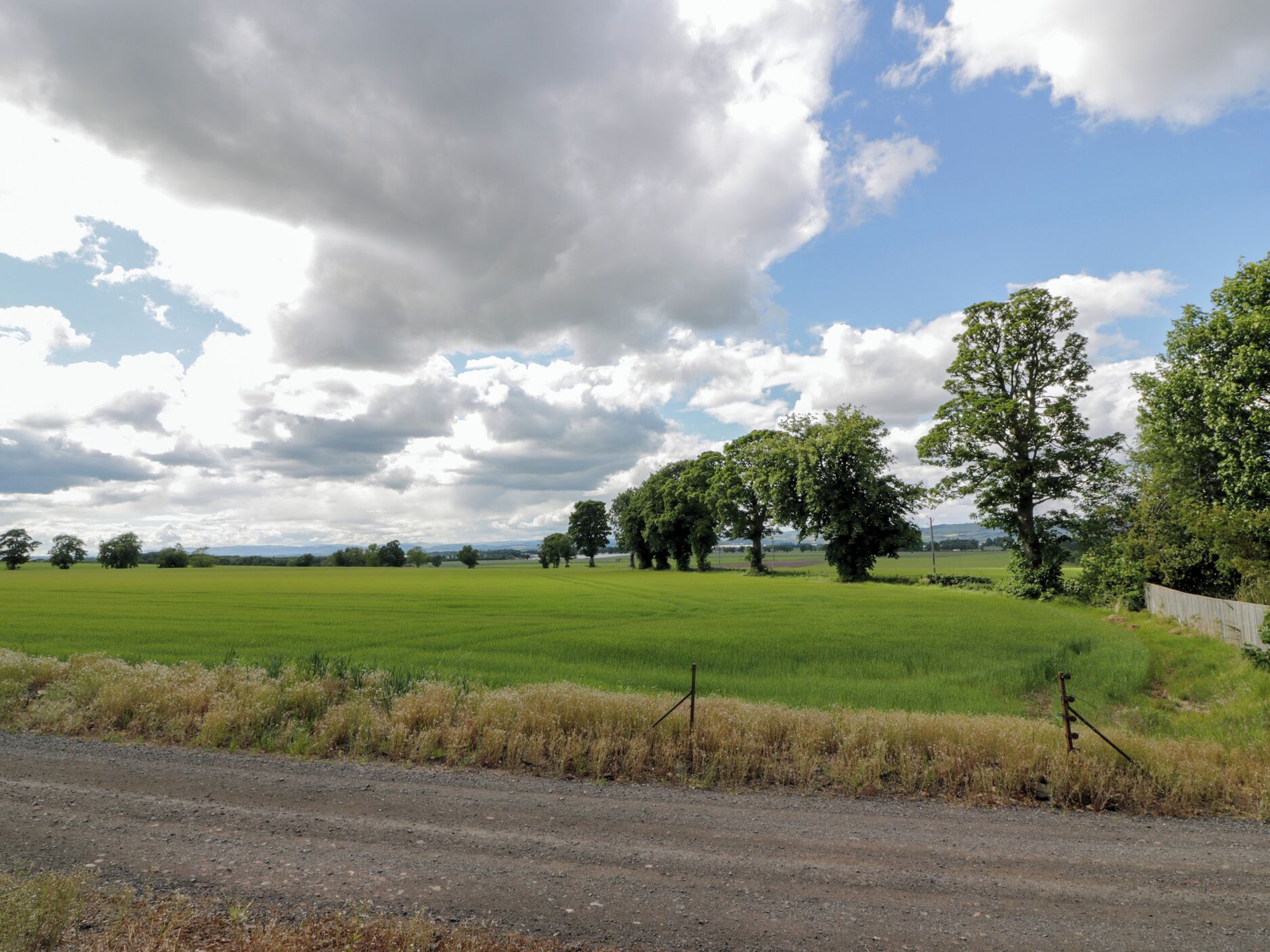Paisaje rural con un camino de tierra, campos verdes y árboles bajo un cielo parcialmente nublado.