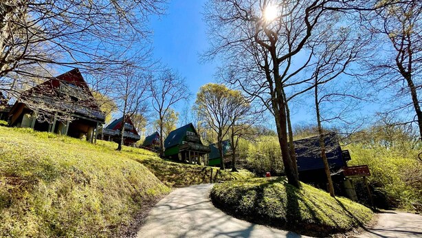 Un chemin mène à une rangée de maisons de style traditionnel, dotées de toits inclinés, et bordé d’arbres et d’espaces verts.