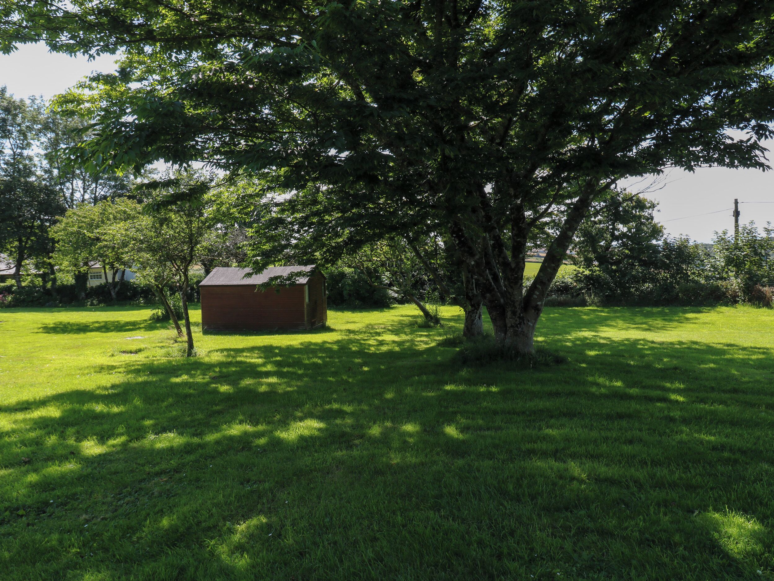 Een grasveld met een klein houten gebouwtje en een grote boom die schaduw biedt.