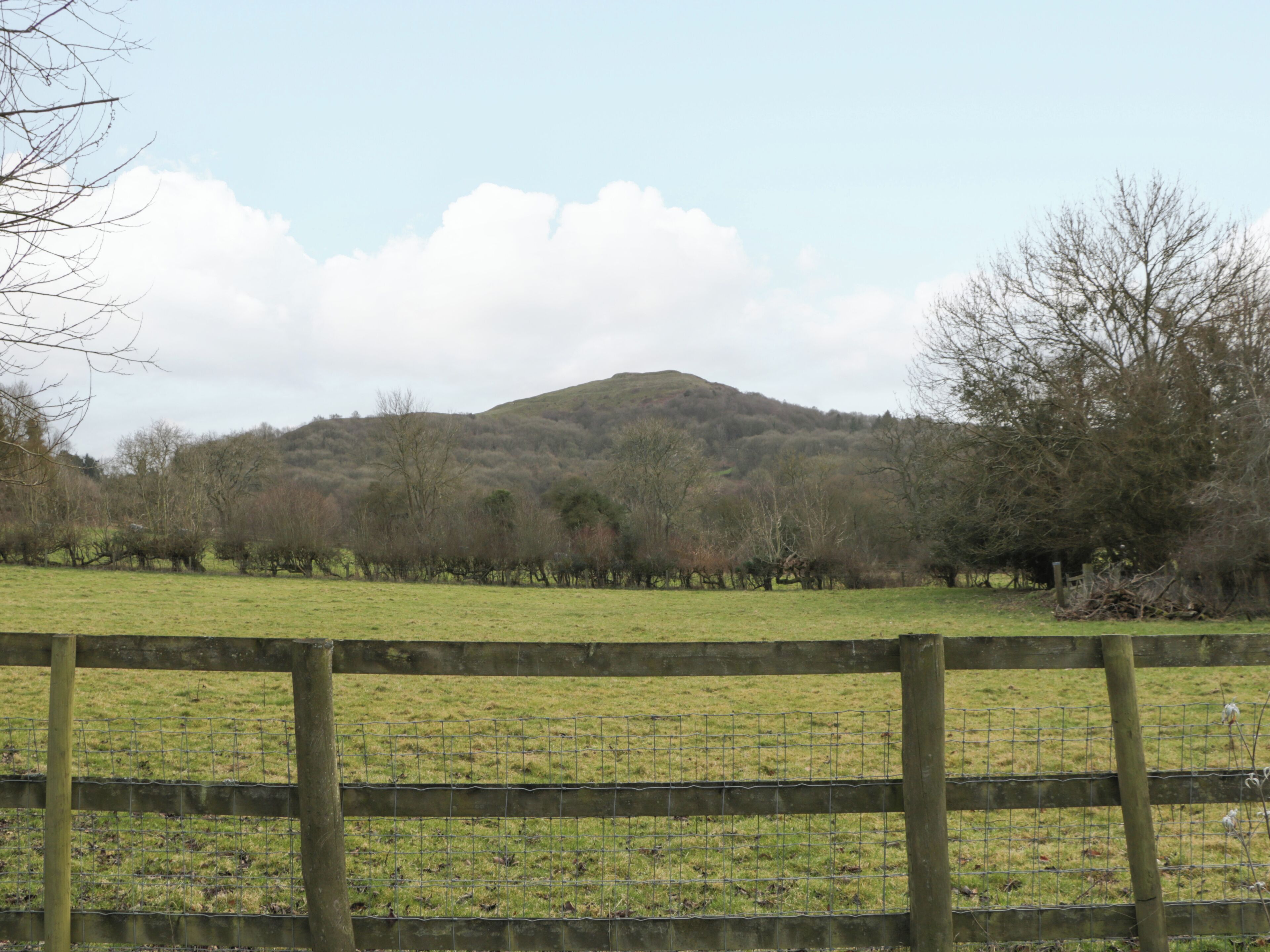 A fenced field with a hill in the background.