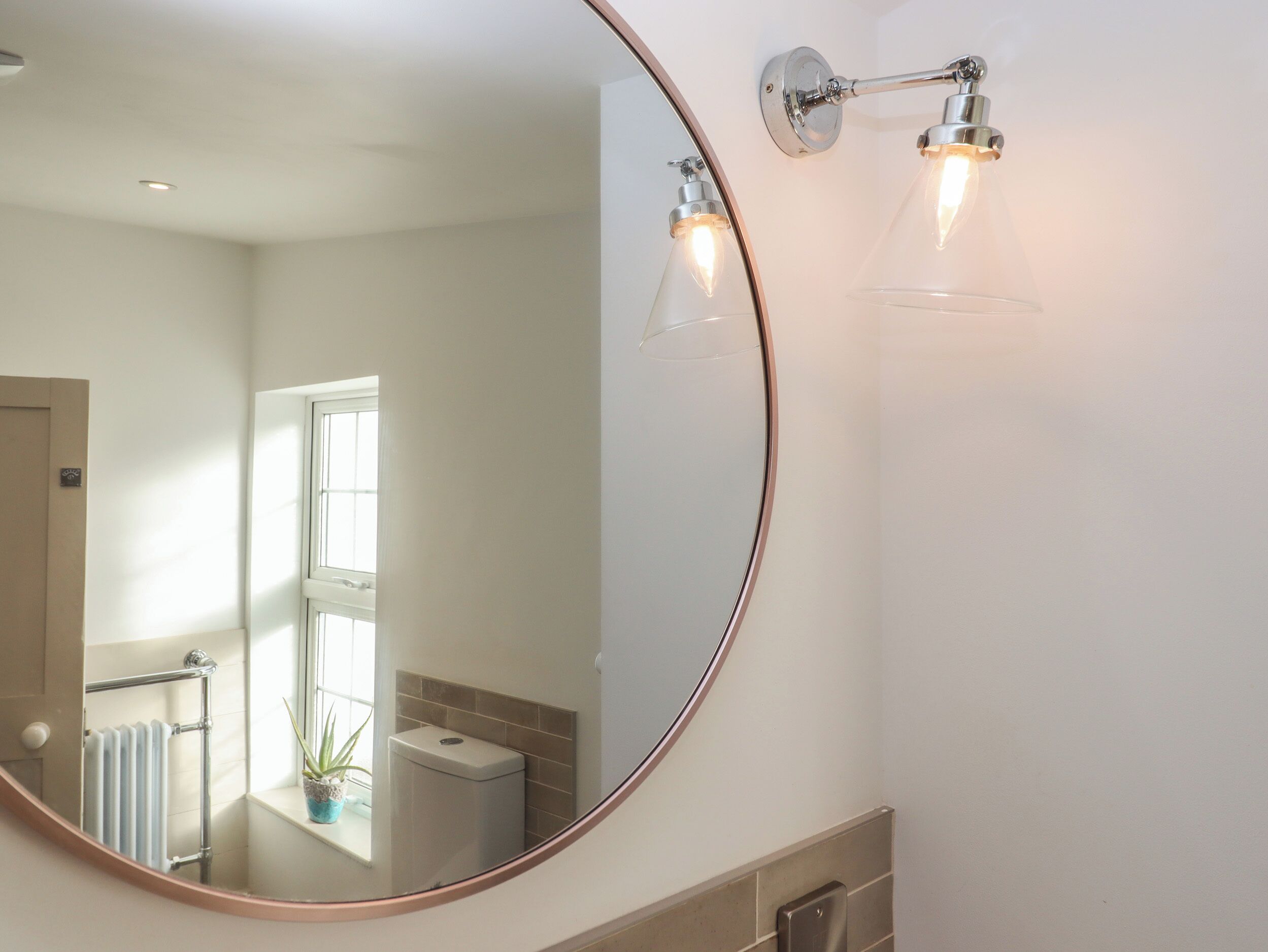 A bathroom with a large mirror, a towel rack, a radiator, and a potted plant.