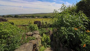 Ländliche Landschaft mit sanften Hügeln, blauem Himmel und vielfältiger Vegetation, darunter Farne und blühende Pflanzen.