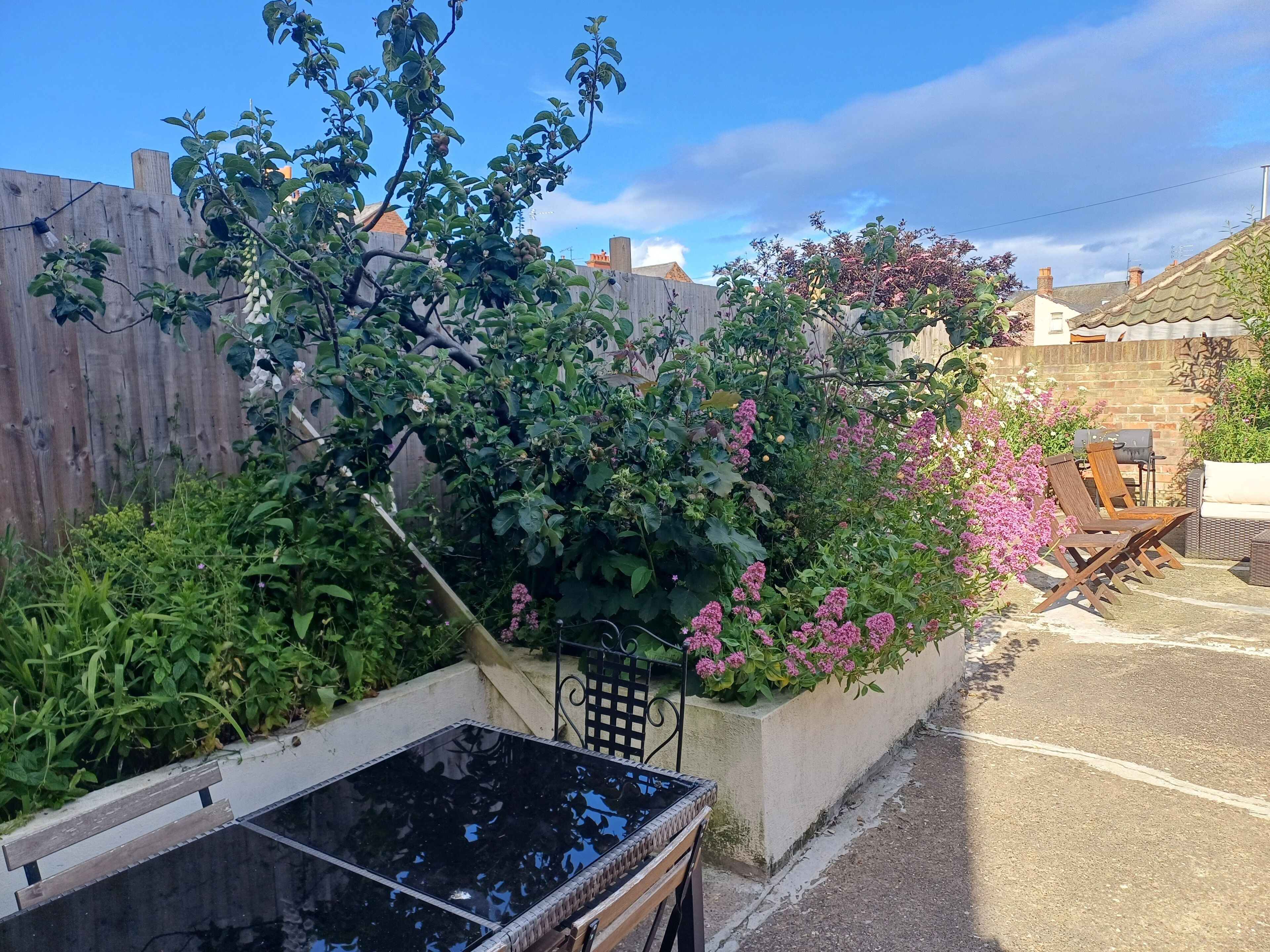 A garden with a wooden fence, a black table, and pink flowers.