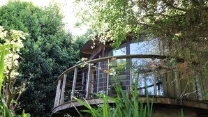 A wooden bridge with a metal railing, surrounded by lush greenery and trees. - The Bothy (Lyme Regis)