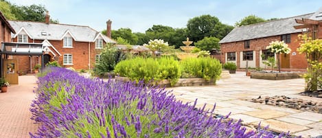 Terrein van de accommodatie