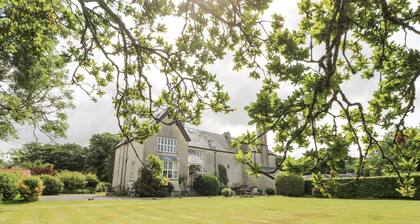 Plas Pontfaen