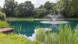 A tranquil pond with a fountain, surrounded by lush greenery and trees.