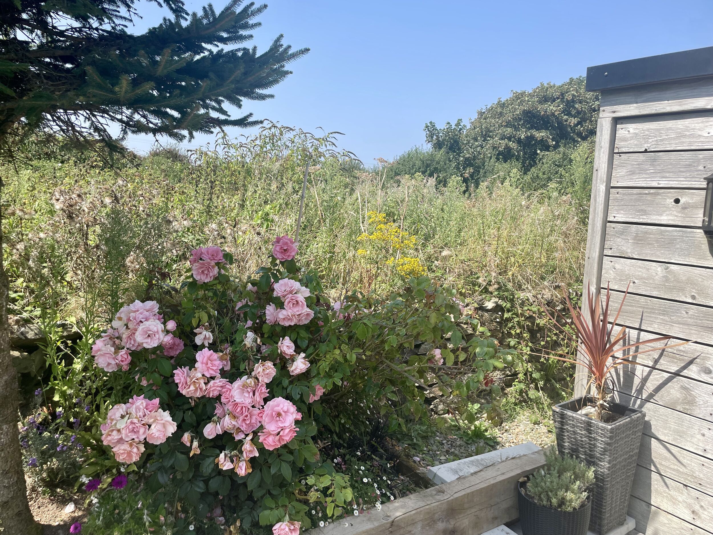 Cottage | Exterior detail