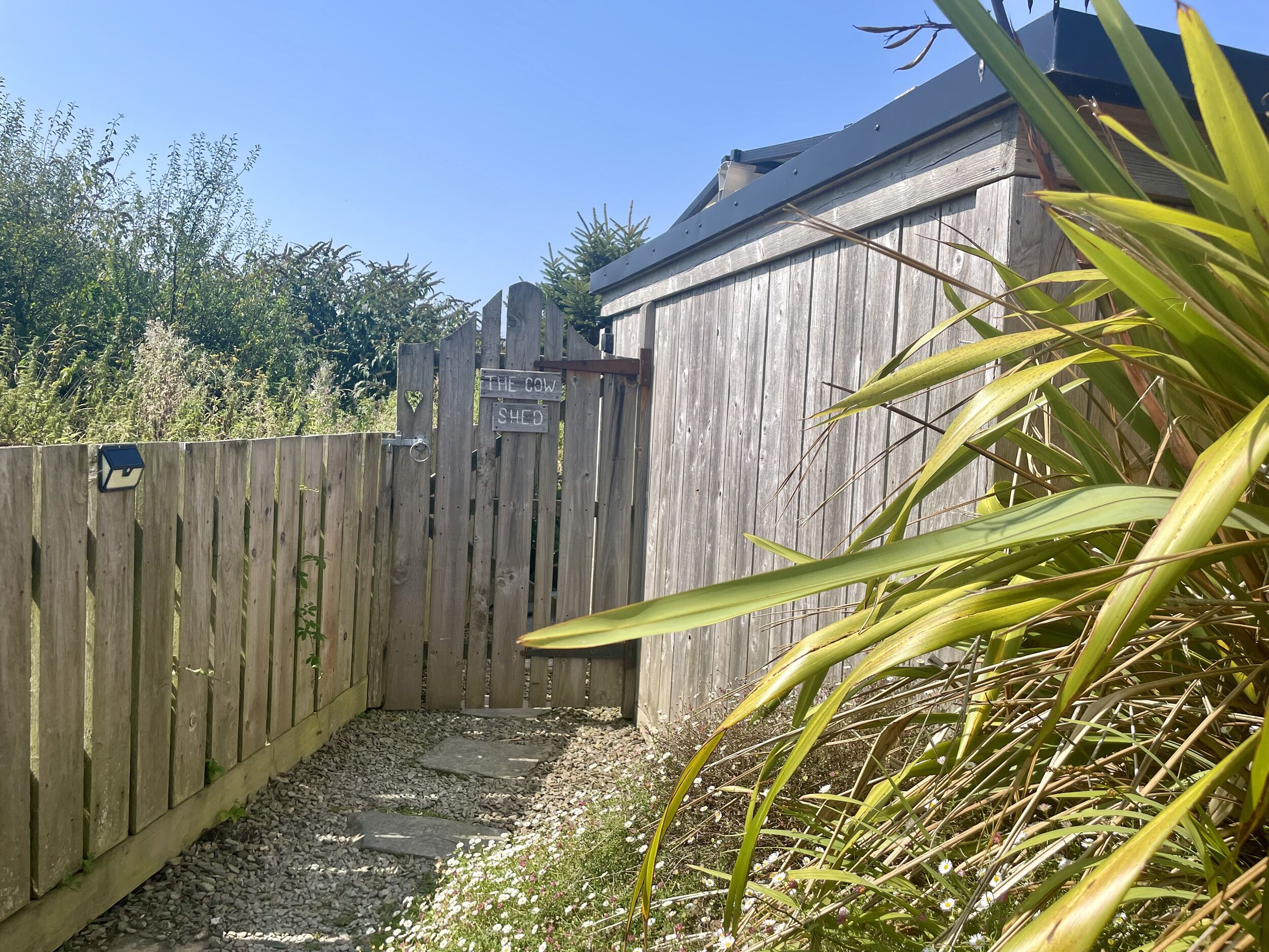 Cottage | Khuôn viên nơi lưu trú