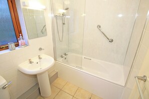 Shower - Artist's Cottage (Penrhyndeudraeth)