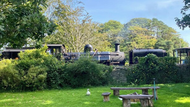 Un jardin avec un train à vapeur, des tables de pique-nique et un cygne blanc.