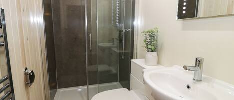 A modern bathroom with a glass-enclosed shower, a white toilet, a sink with a mirror, and a potted plant on the vanity.