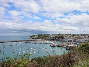 Marina - Brixham Breeze Cabin (Brixham)