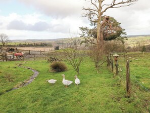 Property grounds - Blaidd Bach (Carmarthen)