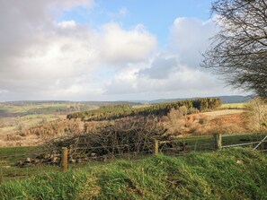 Miscellaneous - Blaidd Bach (Carmarthen)