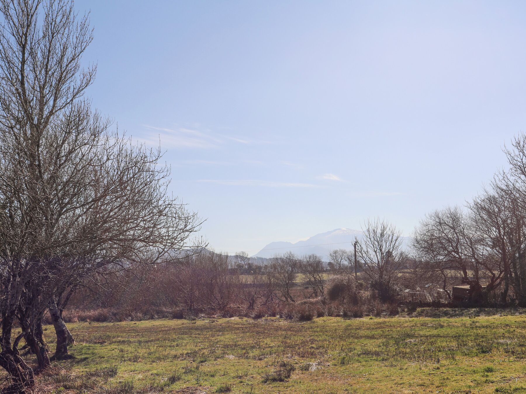 Ländliche Landschaft mit einem Feld, kahl stehenden Bäumen und einer fernen Bergkette.