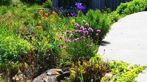A garden with various plants and flowers, a pathway, and a building with large windows. - Tirlaggan House (Oban)