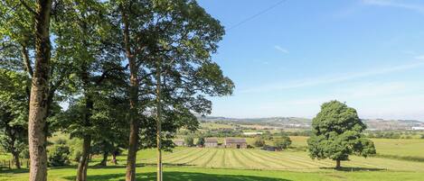 A rural landscape with a large field, a few trees, and a distant building.