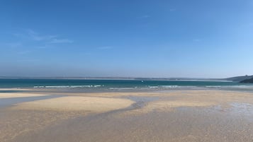 在海灘附近
