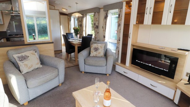 Ein modernes Wohnzimmer mit grauen Sofas, einem Holztisch, einem Fernseher und einem Kamin.