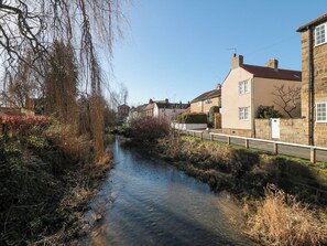Property grounds - The Ducklings Nest (Middlesbrough)