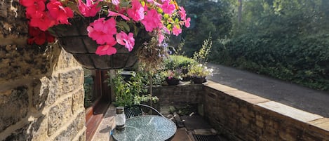 Terraza o patio