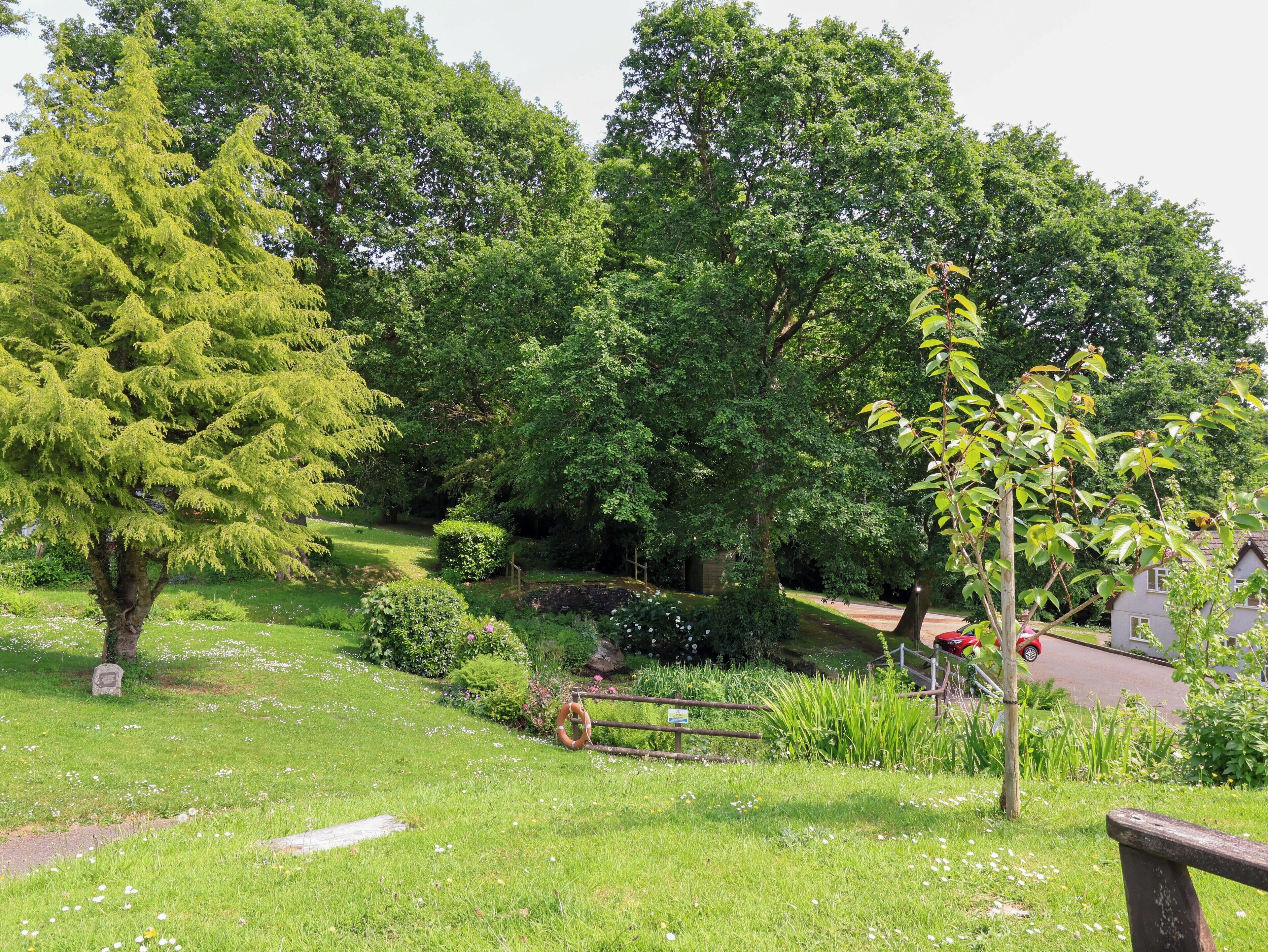 A lush garden with a variety of trees and a small pond.