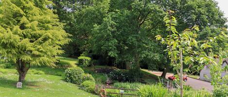 A lush garden with a variety of trees and a small pond.