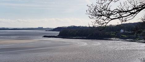 A coastal landscape with a sandy beach, calm water, and a tree-lined cliff.