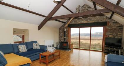 Llwyngwinau Isaf Barn